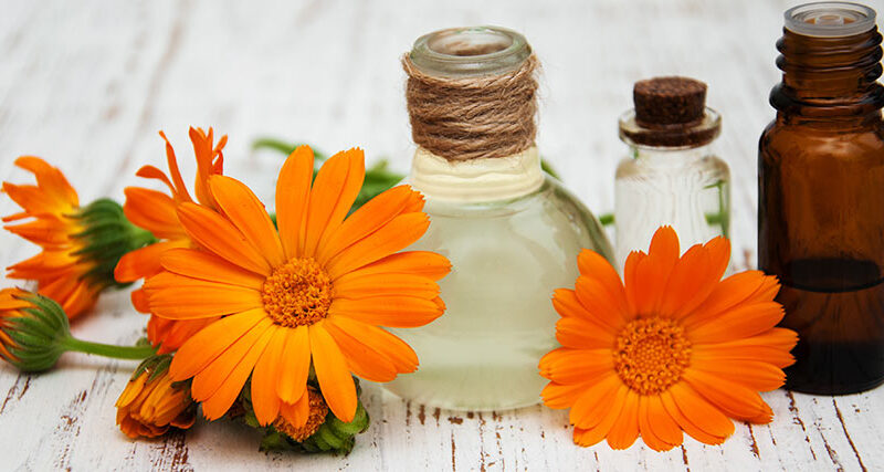aceite-calendula