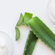Planta Cosmética Aloe Vera