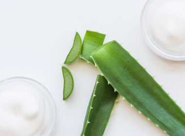 Planta Cosmética Aloe Vera