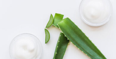 Planta Cosmética Aloe Vera