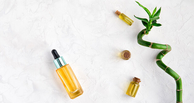 Planta Cosmética Bambu