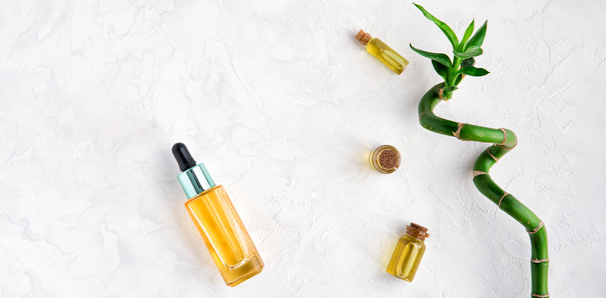 Planta Cosmética Bambu