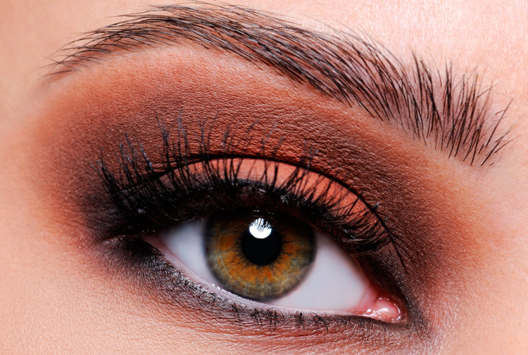 El maquillaje para ojos marrones no es tan difícil de aplicar! ✓ | Blog  Druni