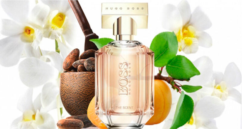 Los perfumes Hugo Boss para hombre son... ✓ | Blog Druni
