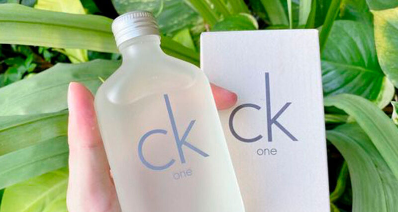 Los 5 mejores perfumes Calvin Klein para el hombre cosmopolita ✓ | Blog  Druni