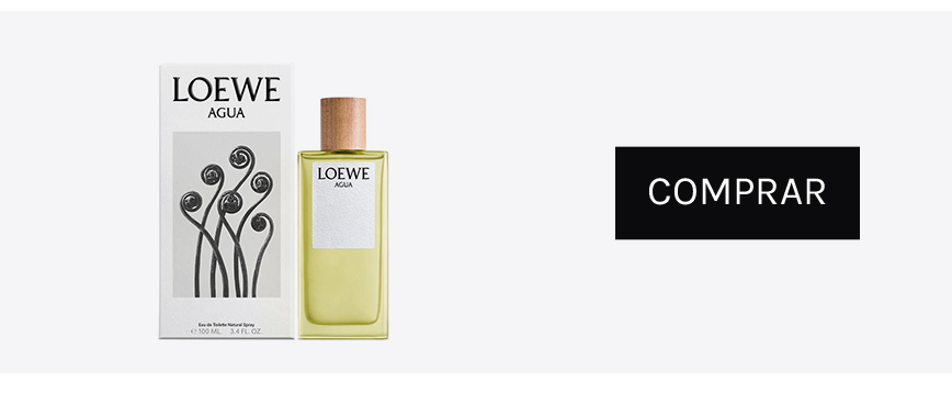 Mejor perfume loewe hombre sales