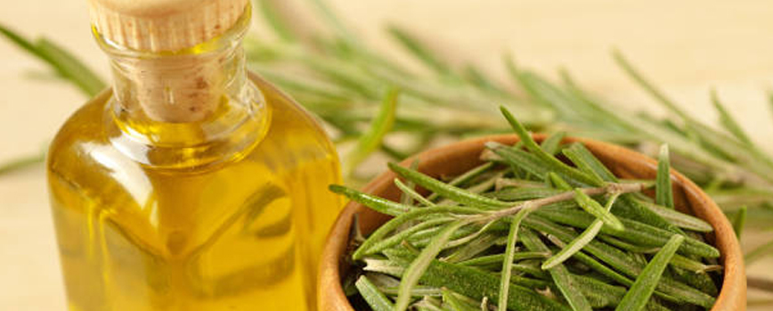 Propiedades del aceite de romero