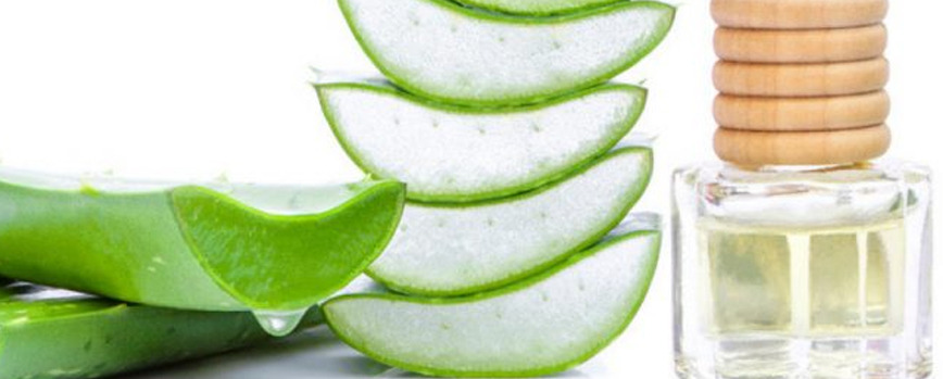 Aloe vera, un aliado para la piel morena