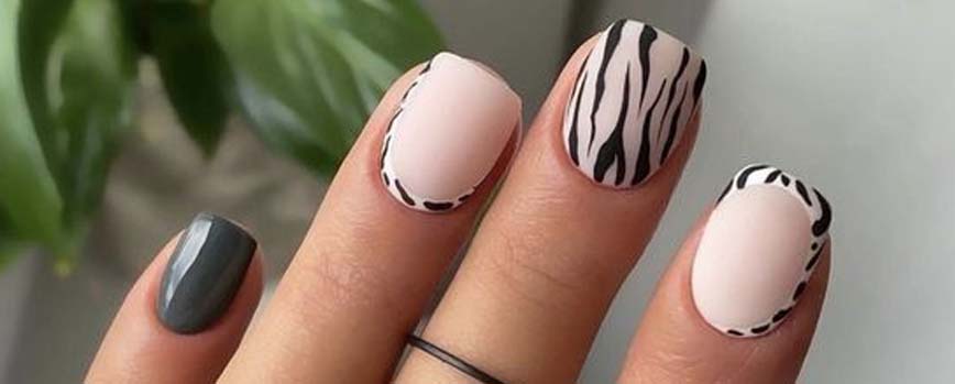 Uñas de cebra. Ideas para tu manicura decorada de cebra ✓ | Blog Druni