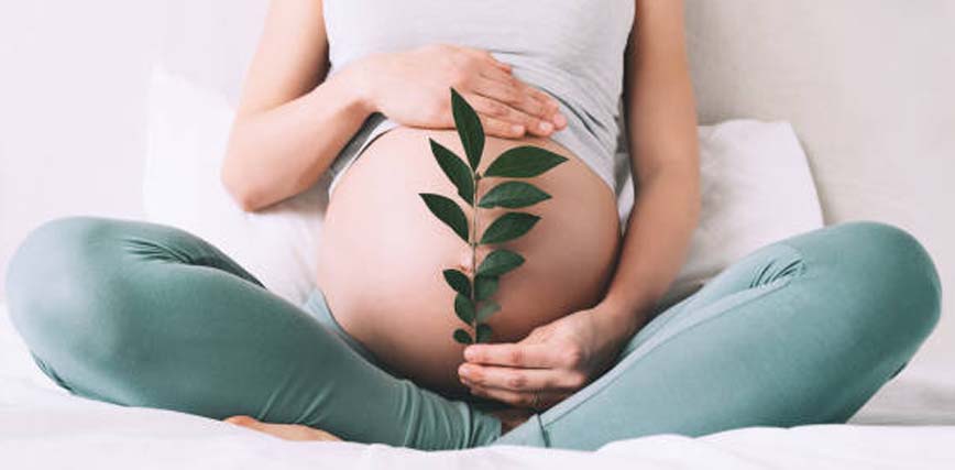Las 15 mejores cremas antiestrías para el embarazo de 2023