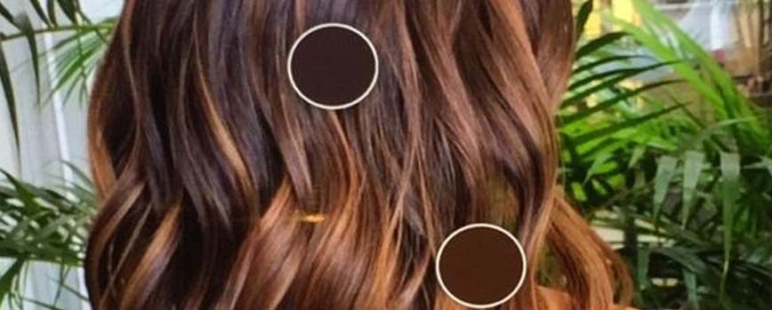 demandante Alegrarse esculpir Te ayudamos a elegir el mejor tinte marrón chocolate para tu cabello ✓ |  Blog Druni