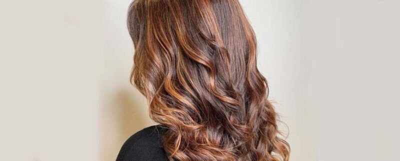 Tinte castaño avellana, un irresistible para las castañas | Blog Druni