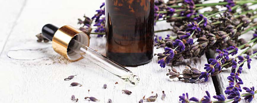 ¿Qué es el aceite de lavanda?
