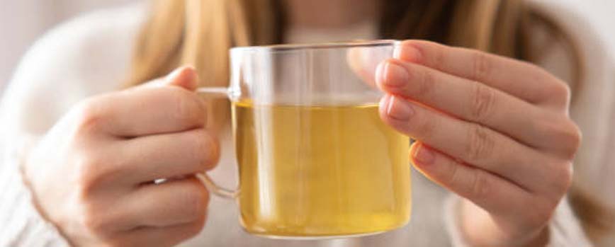 ¿Cuándo se debe beber té verde?
