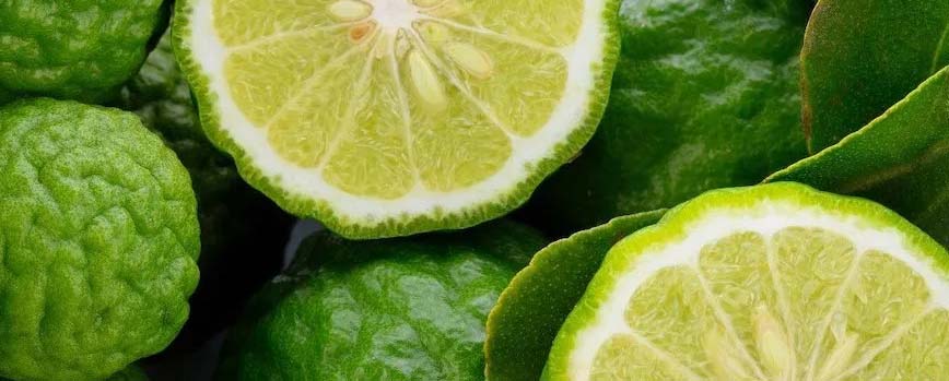 ¿Qué es la bergamota?