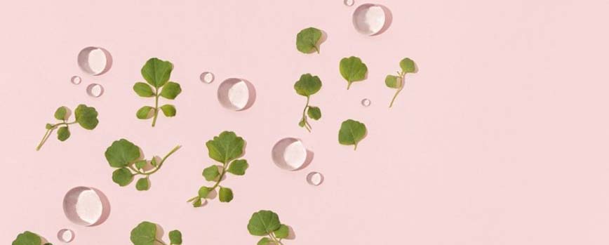 ¿Qué es la centella asiática?
