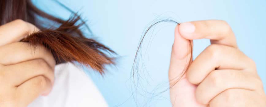 Ciclo de la vida del pelo