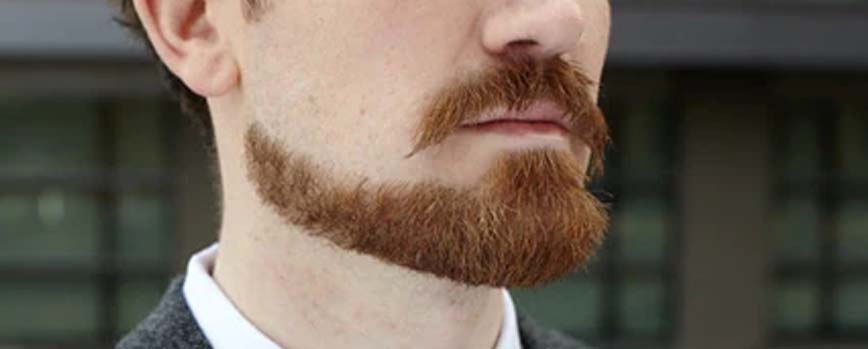 Barba Van Dyke
