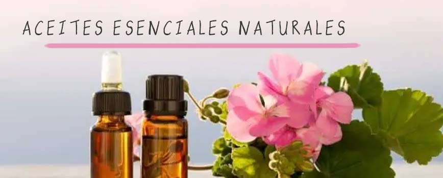 Precauciones con el aceite esencial de geranio