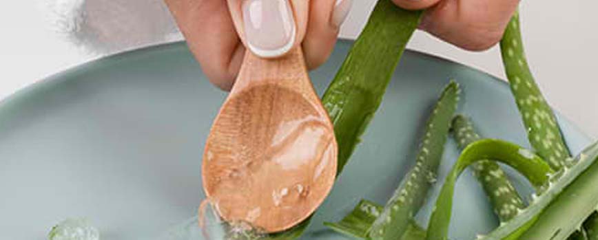 Propiedades del aloe vera para el pelo