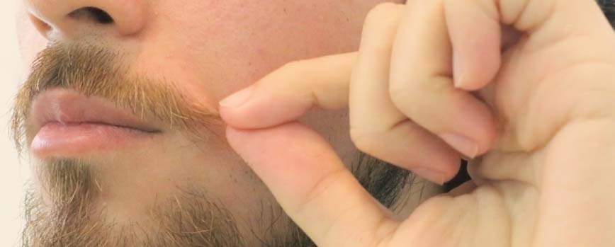 Deja crecer el bigote