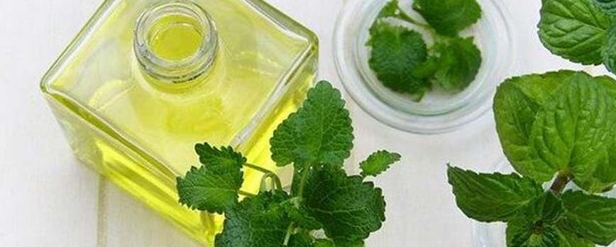 ¿Para qué sirve el aceite de citronela?