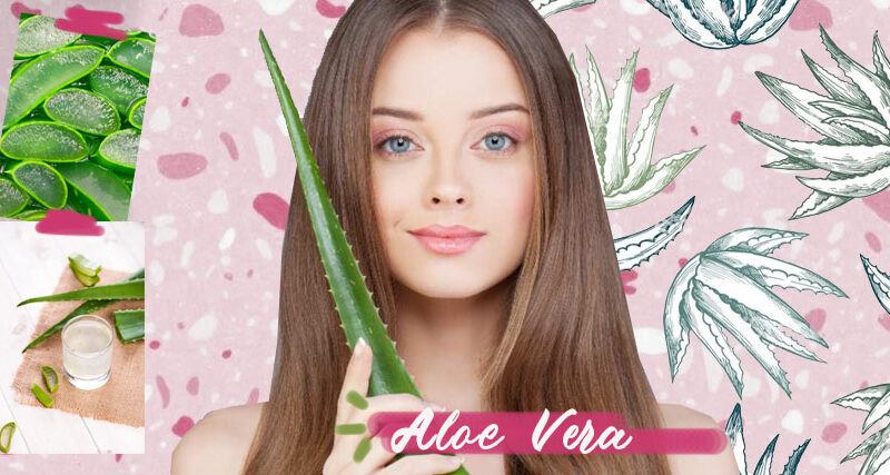 Adivinar Ciencias Sociales cien ¿Para qué sirve el aloe vera para el pelo? | Blog Druni