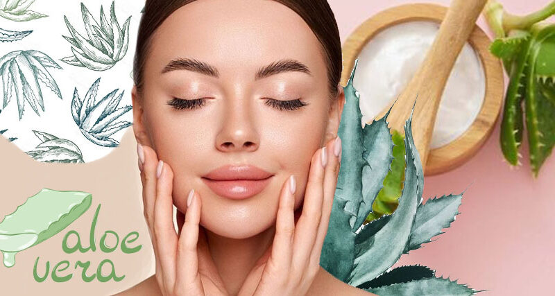 Aloe vera manchas cara ✓ | Blog Druni