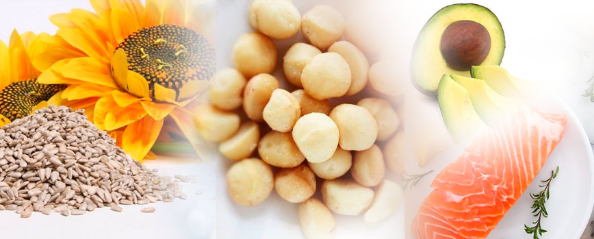 ¿Dónde se encuentra la vitamina F?