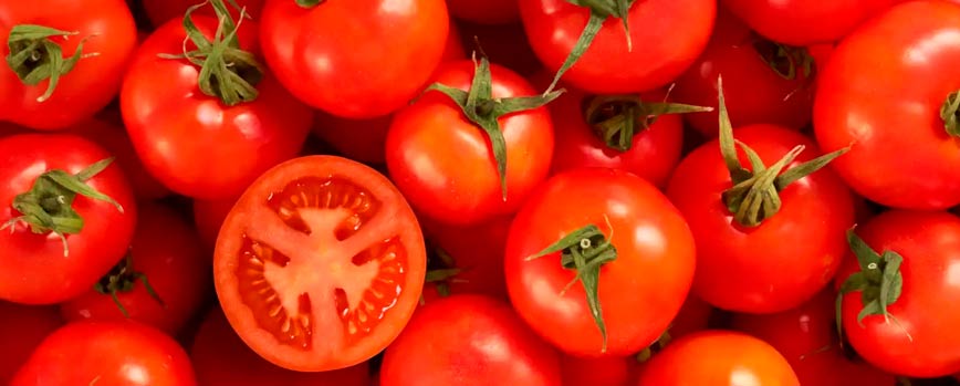 1. Tomate