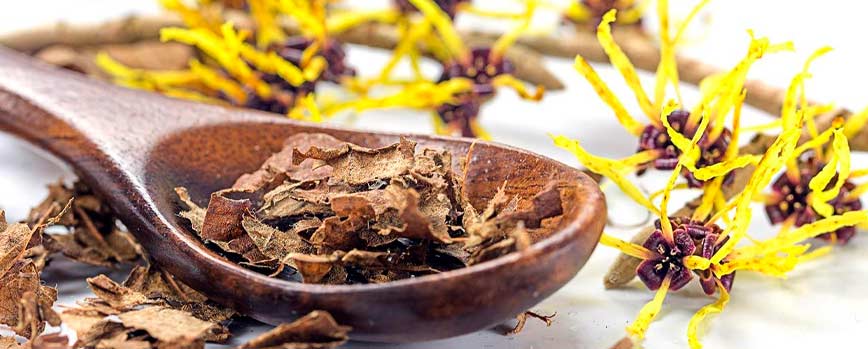 Principales propiedades del hamamelis para la piel