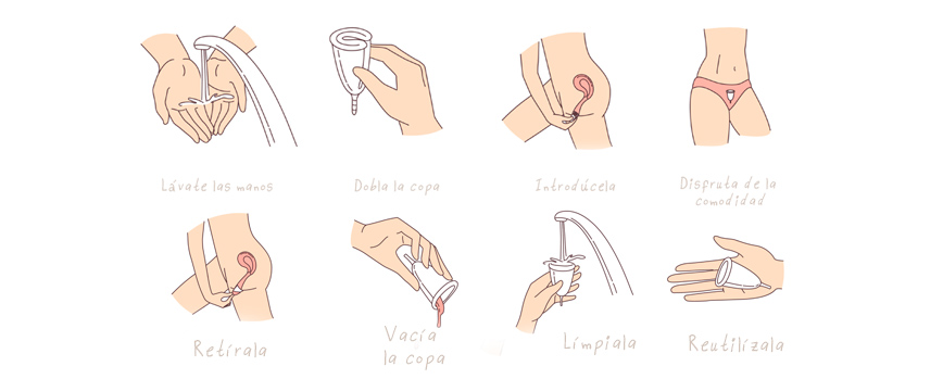 ¿Cómo poner y quitar la copa menstrual?