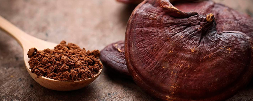 ¿En qué productos puedes encontrar el hongo Reishi?