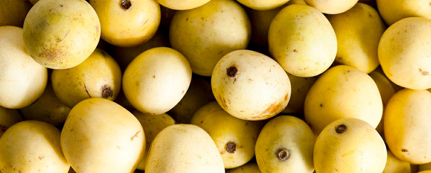¿Qué es el aceite de marula?