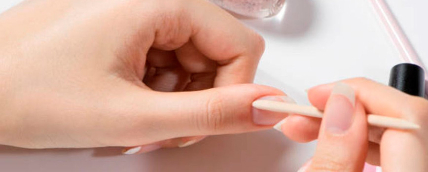 2. Preparación de las cutículas