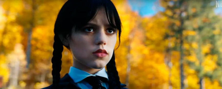 #3. Trenzas de Miércoles Addams