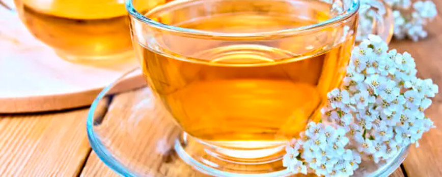 Infusiones para la regla de milenrama