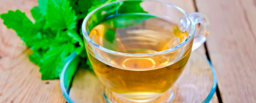 Infusión de bálsamo de limón para calmar el estado de ánimo