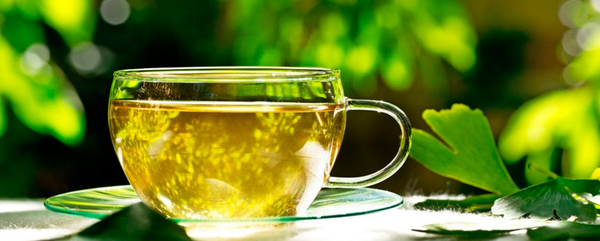 9. Infusión de Ginkgo Biloba