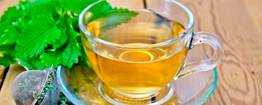 10. Infusión de melisa