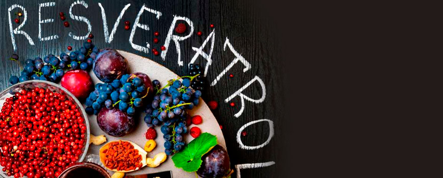 ¿Qué es el resveratrol?
