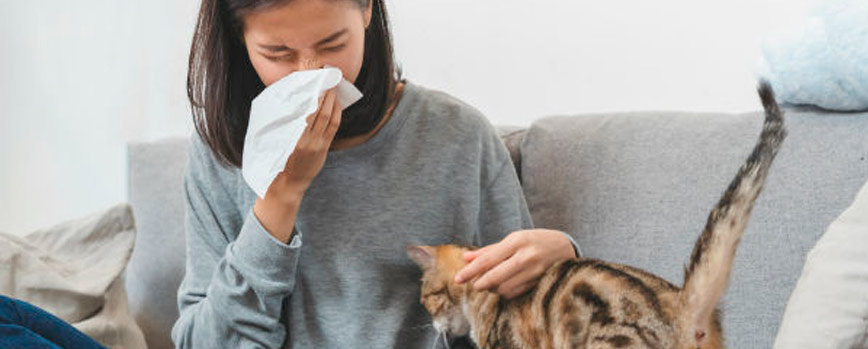 Alergia a los animales