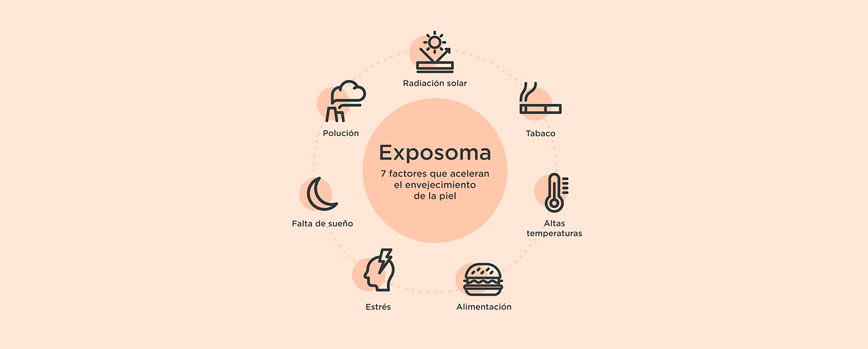 Principales factores del exposoma cutáneo