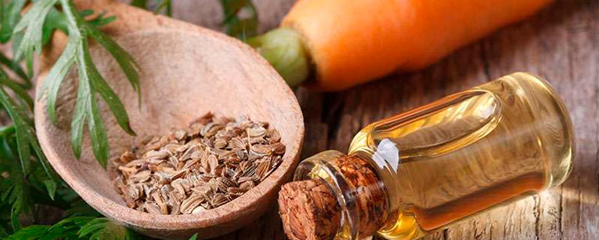 #4. Aceite de semillas de zanahoria