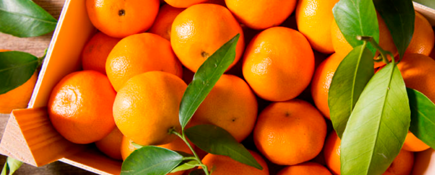 Mandarina