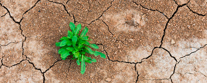 8. Resiliencia práctica