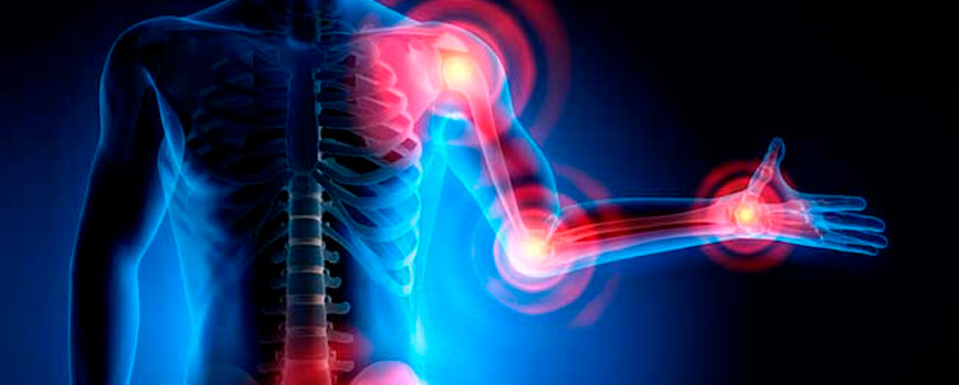 Propiedades antioxidantes y antiinflamatorias