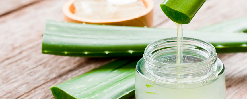 ¿Se puede quitar xantelasmas con aloe vera?