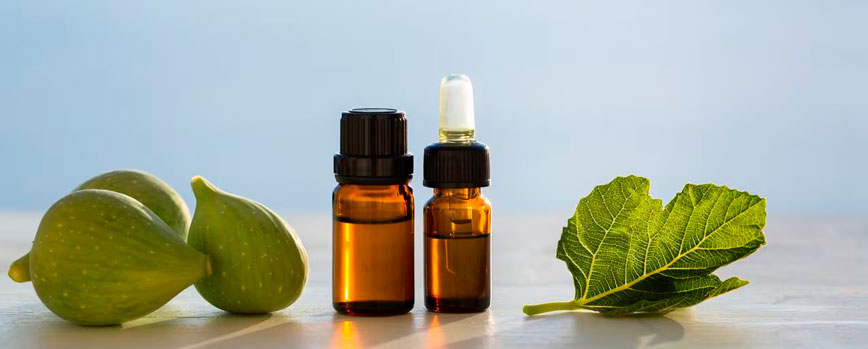 ¿Qué es el aceite de higo chumbo?