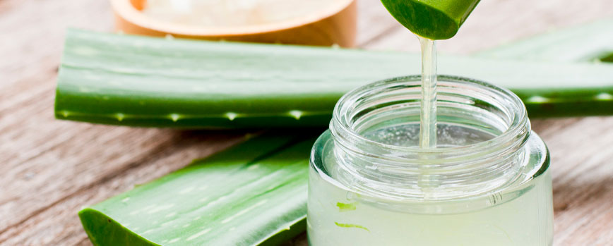 Aloe vera